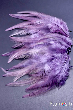 Coq - 8-12 cm - lilas-gris
